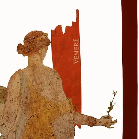 Bed and breakfast Passion Pompeya