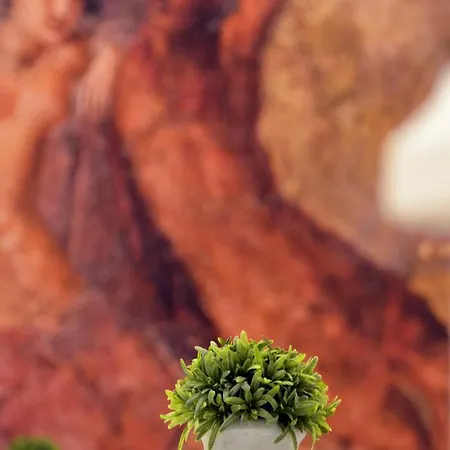 Passion Bed and breakfast